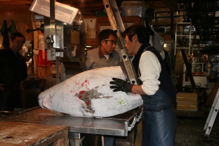 Picture taken at Tsukiji Fish Market in Tokyo, Spring 2008. 